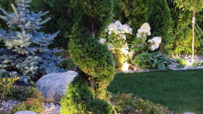 花园设计丨造型与灯光的韵味