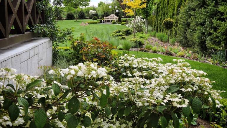 花园设计丨英式自然花园
